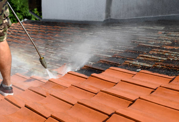 Best Roof Pressure Washing  in Oill, NE