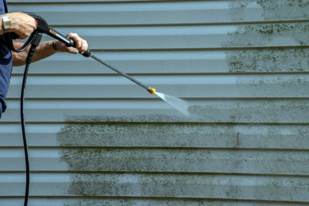 Best Roof Pressure Washing  in Oill, NE