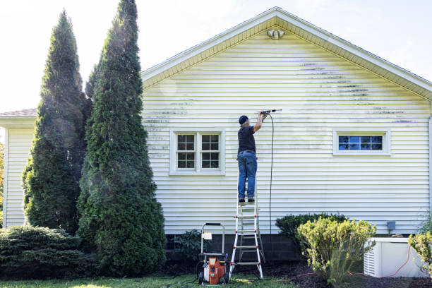 Best Roof Pressure Washing  in Oill, NE